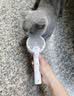 BNBNO猫梳子猫毛清理器宠物喷雾猫毛梳毛刷猫咪蒸汽按摩梳去浮毛免洗澡 实拍图