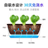 奥美优花盆阳台种菜盆种菜专用箱长方形家庭蔬菜种植箱楼顶花箱盆栽育苗 实拍图