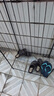 回力上海回力凉鞋男简约夏季休闲日常工作两穿柔软透气透气沙滩凉拖鞋 回力3888/棕色 43 实拍图