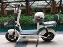 驰小虎电动自行车 吉祥虎新国标电动车电动自行车48V12Ah铅酸电池长续航电瓶车成人代步车电车白色 实拍图