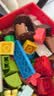 乐高（LEGO）积木得宝10480 森林动物奇趣探险男女孩儿童玩具生日礼物大颗粒 实拍图