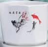 裕轩堂花盆陶瓷家用吊兰蝴蝶兰绿萝带托盘大号个性阳台简约多肉室内套装 6709487（两个17厘米） 中等 实拍图