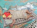 babylove婴儿短袖连体衣夏季薄款衣服彩棉提花透气哈衣爬服新生儿宝宝夏装 实拍图