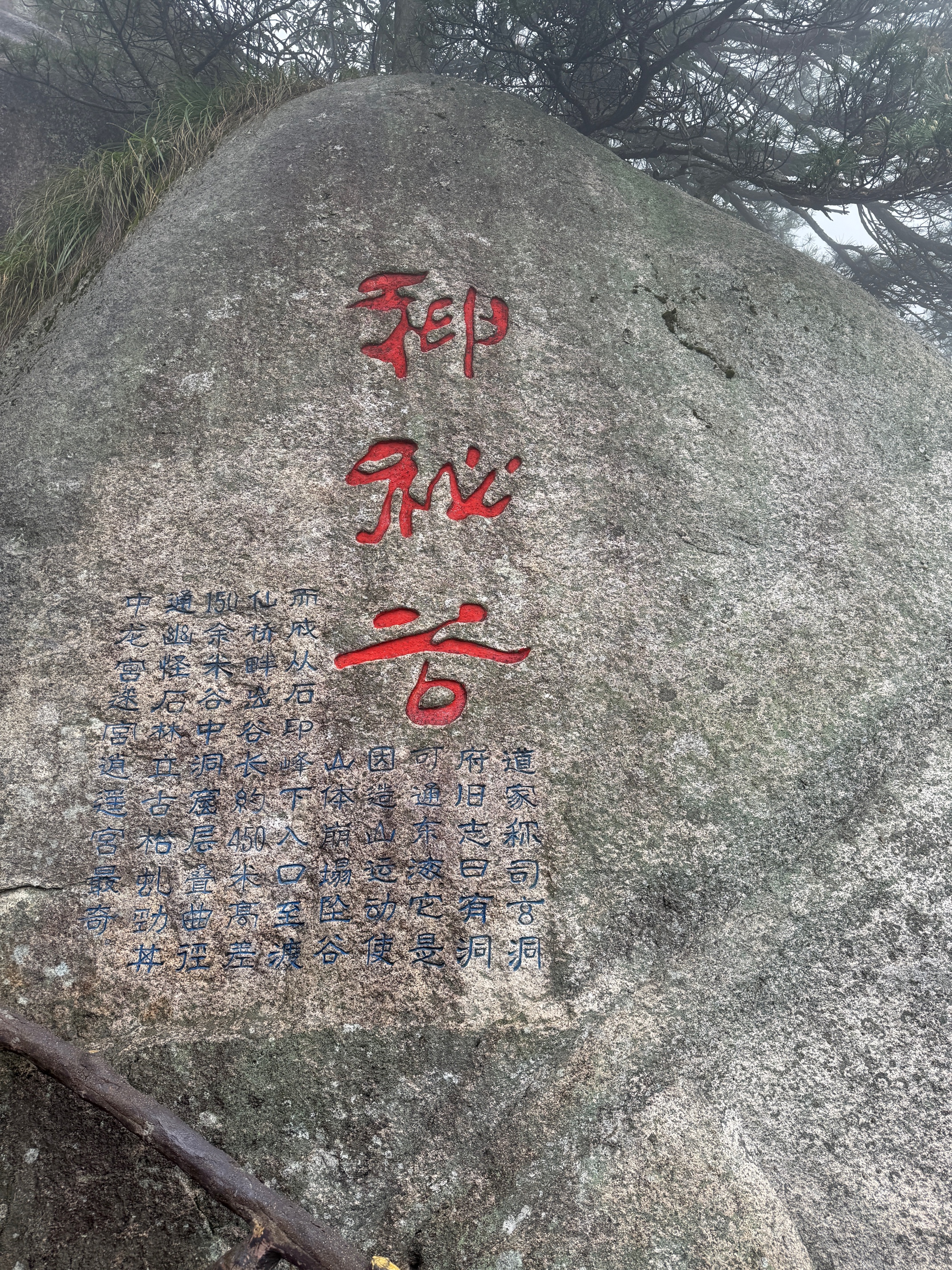 良品铺子芝士华夫饼干薄脆硬华夫饼干网红早餐下午茶点心曲奇休闲零食300g 实拍图