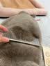 疯狂的主人猫梳子去浮毛猫咪除蚤梳子猫梳毛专用梳狗毛梳子排梳狗狗用品大号 实拍图