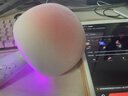 唱吧小巨蛋G2504B星球手机K歌麦克风无线蓝牙音箱话筒音响一体自带声卡 家用唱歌神器生日礼物 洛神粉 实拍图