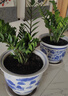 芷郁绿植盆栽托盘垫接水圆形防烂根树脂花盆托底座托盘 特厚360型2个 实拍图