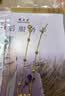 周大生黄金纳吉福葫芦转运珠足金福禄手链生日礼物送女友 0.3g 实拍图