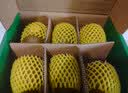 佳沛（zespri）新西兰 阳光金奇异果30-33粒原箱单果103-124g 猕猴桃水果礼盒 实拍图