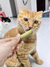 MamyPets猫草冻干猫咪零食猫草棒磨牙棒排毛化毛球猫薄荷饼干猫草片 实拍图