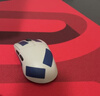 卓威奇亚（ZOWIE GEAR）H-SR-SE炽II 电竞鼠标垫 细面鼠标垫 游戏鼠标垫大号 电竞桌垫gsrse炽升级款大尺寸（随机发货） 实拍图