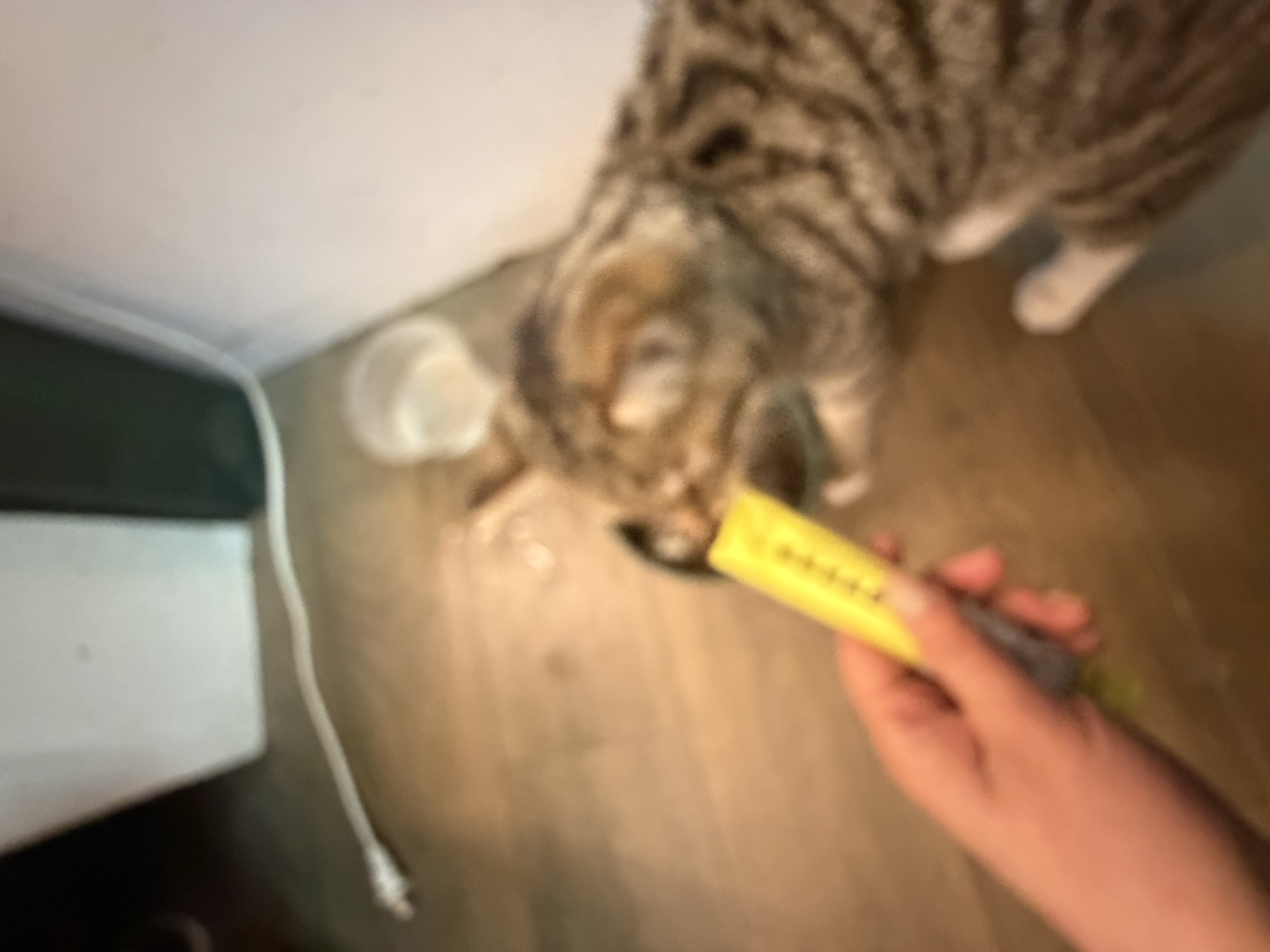 猫条猫零食补充营养味美妙鲜湿粮包猫罐头猫条100支整箱猫咪零食 猫条鸭肉鳕鱼口味【15g*100支】 实拍图