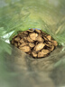 福茗源养生茶 牛蒡根茶 特级品质黄金牛蒡茶花草茶牛螃茶牛膀牛棒250g 实拍图