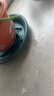 芷郁绿植盆栽托盘垫接水圆形防烂根树脂花盆底座托盘 特厚270型3个 实拍图