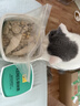 凯锐思冻干桶鸡肉宠物零食100%鲜肉蛋黄五拼猫狗通用 呵护肠胃 500g 实拍图