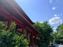 Kocotreekk树一次性雨衣便携防雨卡片应急户外旅行必备混色7个装 成人版 实拍图