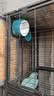 狗笼子宠物店大中小型犬寄养带隔断繁殖笼托盘三层繁育子母鸽子笼 102*60*67cm单层带托盘带隔断-黑色 实拍图