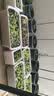 特大阳台种菜盆家用种菜专用盆长方形蔬菜种植盆塑料户外庭院花箱 【米白加大种菜盆】带轮款 【自吸水5套】 实拍图