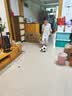 得力（deli）足球5号成人儿童中考标准世界杯专业比赛训练青少年小学生 实拍图