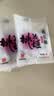 东阿阿胶桃花姬阿胶糕20g 袋装体验装非卖品 送父母送长辈 实拍图