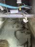憨憨乐园鱼缸增氧泵氧气泵养鱼打氧机小型家用充氧制氧泵水族箱用品5W 实拍图