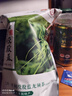 平利绞股蓝龙须茶2026新茶平利老厂绞股蓝养生茶送父母长辈年货非特级 七叶苦味龙须 250g*1袋 实拍图