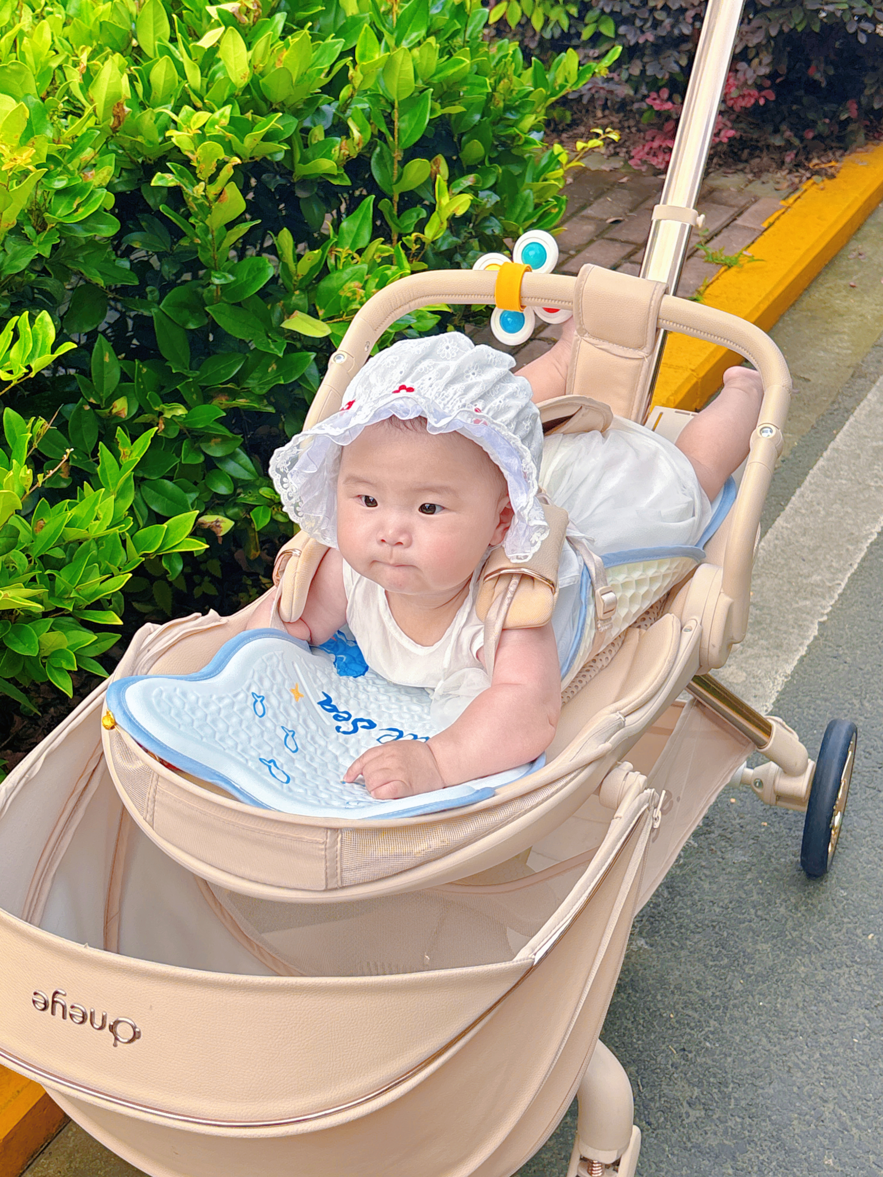 爱宝适婴儿推车凉席坐垫蜂窝凝胶宝宝餐椅坐垫安全座凉垫快乐鲸鱼S770 实拍图