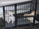 腆宠狗笼狗窝狗笼子大型犬中小型犬带厕所猫笼家用室内宠物笼子狗围栏 实拍图