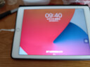 适用于ipad充电器头mini5/Air/2/3/4/6/8苹果9平板Type-C数据线ipadpro充电线12w快充10套装 【1米iPad快充线】买一送一 实拍图