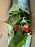 红掌盆栽白粉掌一帆风顺带花特大号花卉室内客厅面水培植物好养 约30cm2盆红掌-2个早安盆 带盆栽好 实拍图