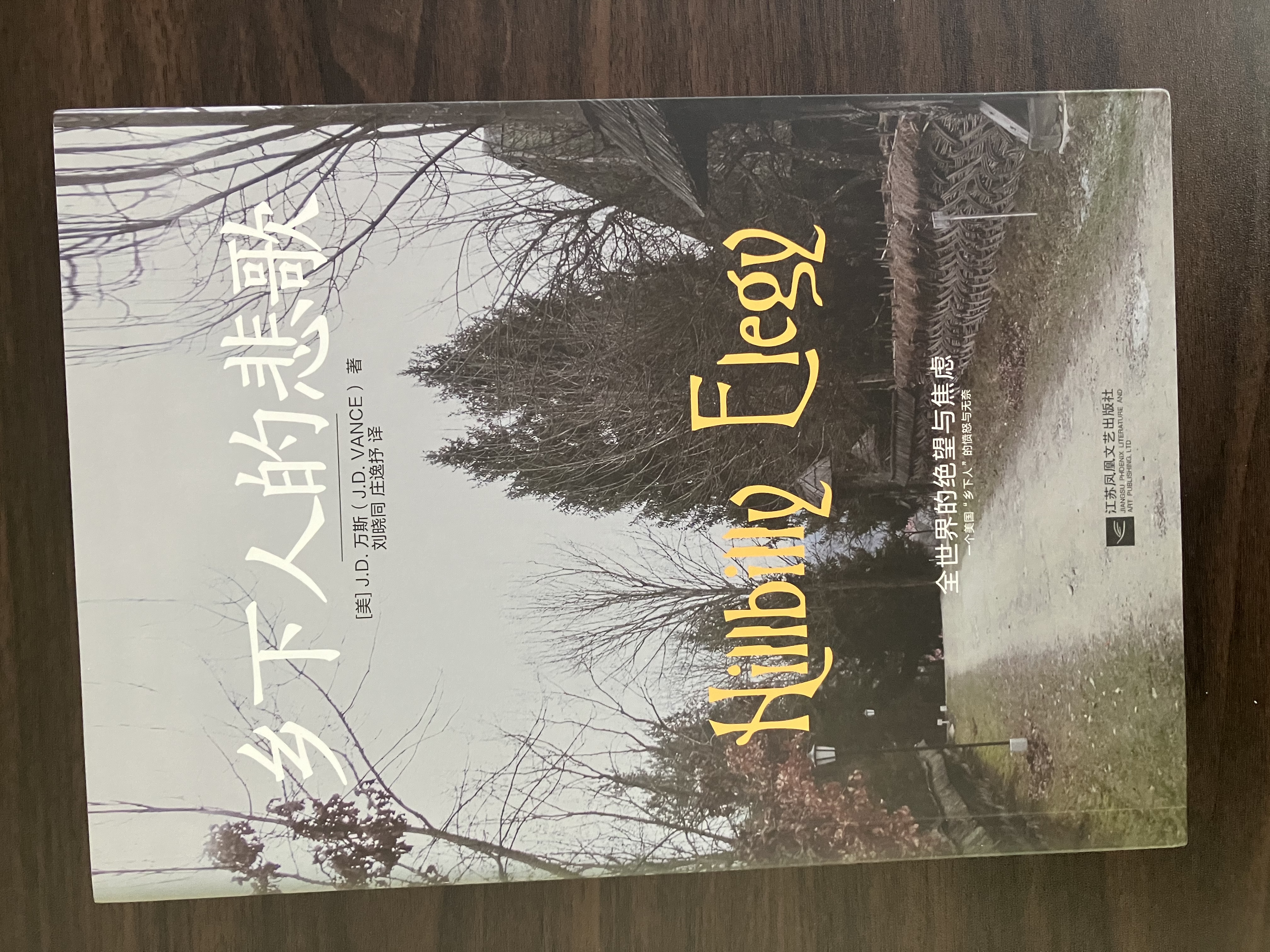 乡下人的悲歌  美国现任副总统 JD万斯作品 结合作者自身成长经历 理解当代美国社会现状 实拍图