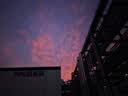 babycare金山茶花纸尿裤S58片(4-8kg)新生儿婴儿尿不湿超薄透气轻柔花苞裤 实拍图