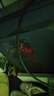 台电（TECLAST）256GB SSD固态硬盘SATA3.0接口 稳影系列 实拍图