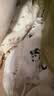 贝瑞加（Babyprints）婴儿连体衣2件装新生宝宝蝴蝶衣长袖护肚连身衣满月服 绿熊猫59 实拍图