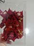 花蒂 结婚胸花 结婚用品仿真玫瑰 中式喜宴襟花一套 婚礼婚庆用品大全 新郎+新娘【一对装】酒红色玫瑰胸花 实拍图