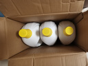滴露（Dettol）衣物除菌液柠檬3L*3瓶杀菌除螨内衣衣物消毒液可配洗衣液儿童可用 实拍图