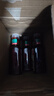 农夫山泉东方树叶菊花普洱500ml*15瓶无糖茶饮料0糖0脂0卡饮品整箱装 实拍图
