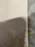 趣行车载窗帘 新能源磁吸遮阳帘婴儿车内遮光防晒隔热遮阳挡 后排单片 实拍图