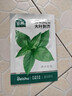 北蔬荆芥种子种苗河南大叶四季种蔬菜种籽 大叶荆芥种子25g约1.2万粒 实拍图