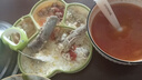 COOKSS宝宝餐盘硅胶学吃饭分格儿童餐具辅食碗餐盘带吸盘 双拼绿 实拍图