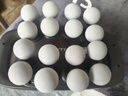 VTT【德国】十六头筋膜枪按摩器肩颈腰背全自动揉捏腿部全身深层肌肉电动颈膜小腿仪生日礼物父亲节 【16头顶配款】30档+动力锂电池+德国品牌电机灰 实拍图