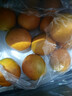 正宗秭归夏橙脐橙 甜橙子 现摘现发 产地直发新鲜水果 80mm+ 带箱9斤/净重8.4斤 实拍图