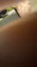 蕉内（Bananain）301P莫代尔内裤男士棉裆10A抗菌运动男生冰丝四角短裤四季礼盒3件 磁铁黑+米褐色+粉末灰 3条 2XL 实拍图