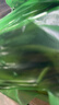 新贝奶粉储存袋 保鲜袋 奶粉储存袋 加厚防漏（牛油果绿）9177 实拍图