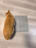 HELLOJOY防猫刺钉驱猫神器防猫爬刺垫沙发保护猫狗隔离禁区刺网垫 6片装 实拍图