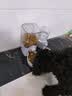 licheers狗狗饮水器悬挂式宠物自动喂食器狗笼子喝水器猫咪饮水机喝水食盘 实拍图