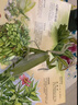 青葫芦儿童玩具5岁女孩4男孩生日礼物8男童12女童3年级7-14立体书 【昆虫记+显微镜】16开绘本+礼袋 三幼儿园小朋友一二小学女生小女孩子10十姑娘6六年级 实拍图