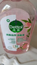 滴露（Dettol）香氛自然衣物消毒液1L*4  留香48H洗衣除汗臭 儿童玩具杀菌消毒水 实拍图