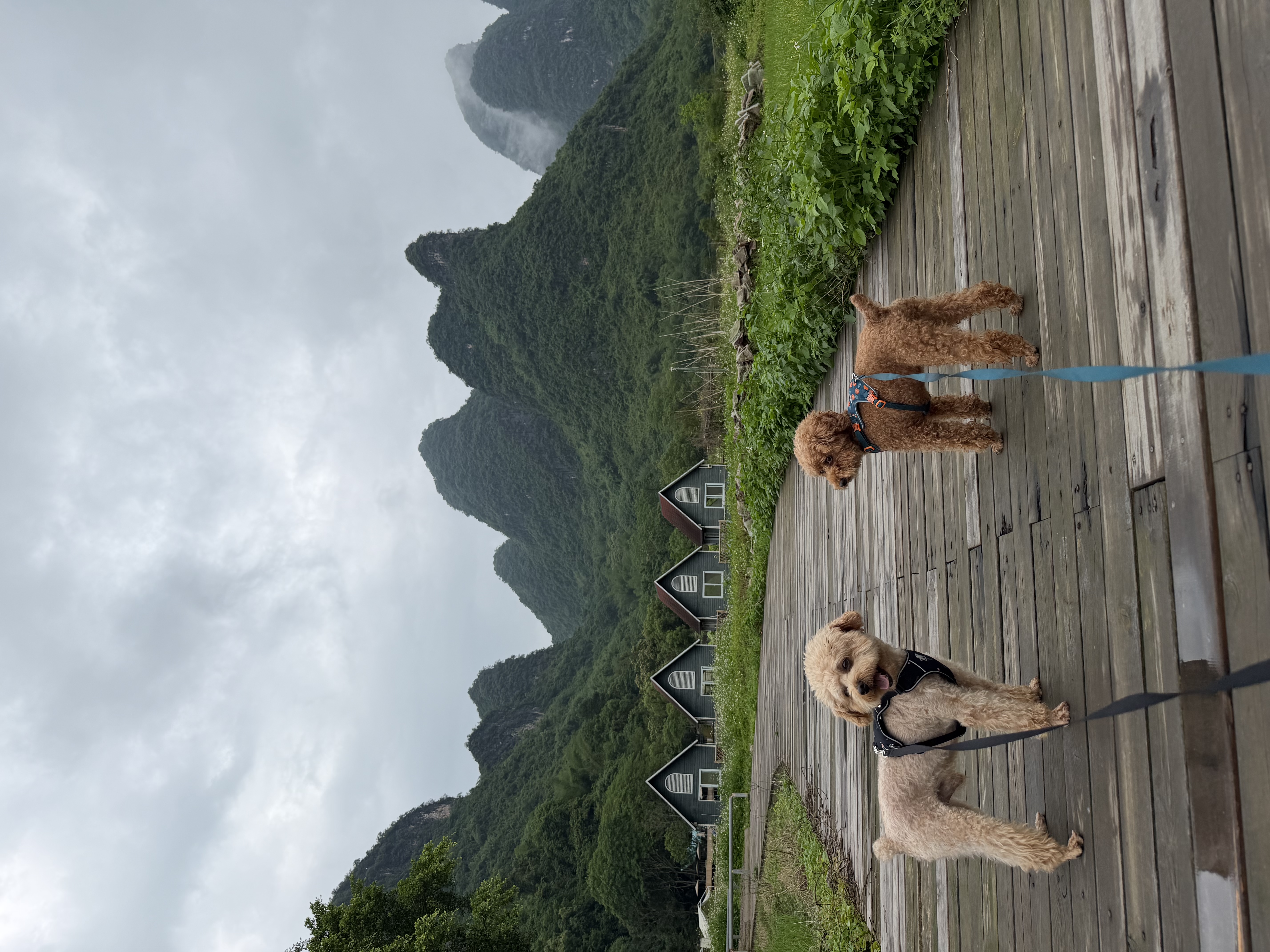卡骆驰（CROCS）经典云朵Clog男女沙滩洞洞鞋凉拖鞋 206750-100 37 实拍图