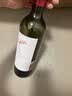 奔富（Penfolds）麦克斯设拉子赤霞珠干红葡萄酒750ml*1瓶 【澳版】 实拍图